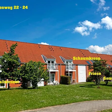 Buchenweg Schaumkrone