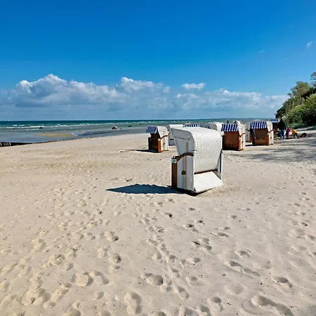 Buchenweg Schaumkrone