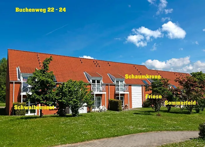 Buchenweg Schaumkrone